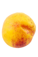 nectarine on white background