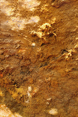 brown on the ground background texture