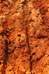 Wheel tracks on the soil.