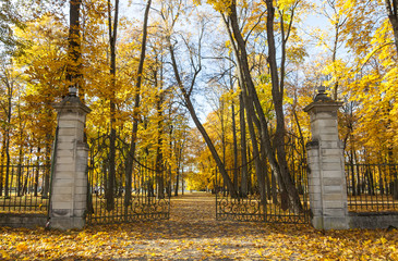 Opened gate in autumn