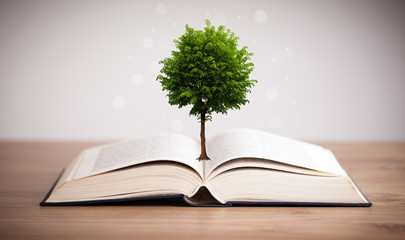 Tree growing from an open book