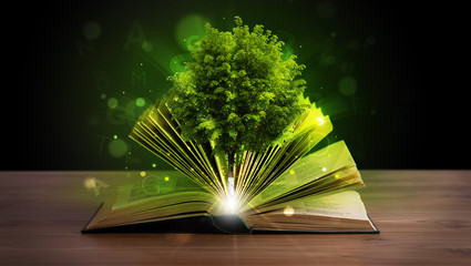 Open book with magical green tree and rays of light