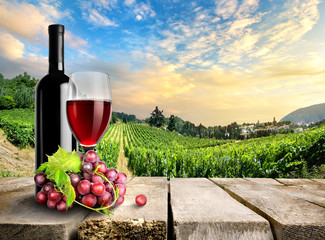 Wine with grape and vineyard