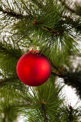  Christmas-tree decorations