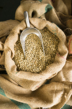 Raw Coffee Seeds Bulk Scoop Burlap Bag Agriculture Bean
