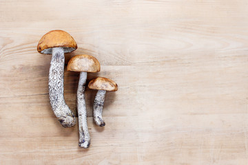 Mushrooms on wooden background