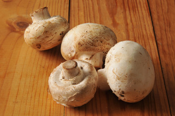 Fresh organic mushrooms