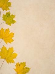 Naklejka na ściany i meble Fall leaf background
