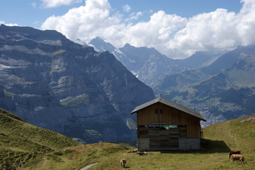 Fototapeta na wymiar les Alpes