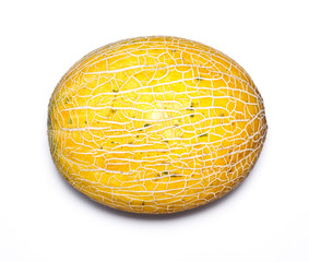 Melon isolated on white background.