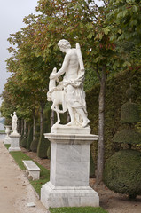 Obraz premium the statue in the park of Versailles