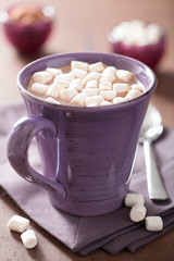 cocoa with small marshmallows