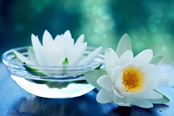 Tableaux sur verre fleur de lotus fleur de lotus blanc