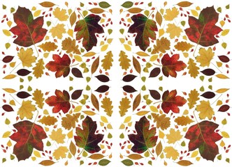 Obraz premium arrangement of floral multicolor background
