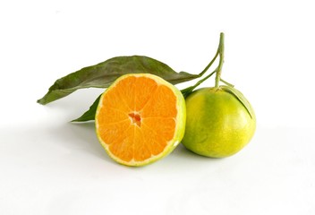 green mandarin - MIYAGAWA