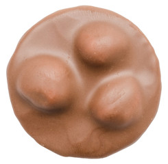Fototapeta premium Chocolate Cookie With Peanuts