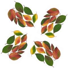 multicolor leaves as idea for floral background