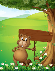 Obraz na płótnie Canvas A beaver standing under the tree with an empty board