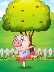A female pig playing at the yard near the big tree