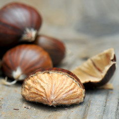 castagne