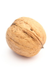 Brown and fresh walnut on white background