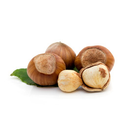Group of hazelnut