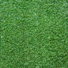 Fototapeta premium Turf Grass Texture and surface