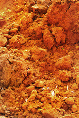 Wheel tracks on the soil.