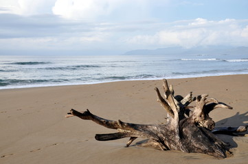 Fototapeta na wymiar Quizales Plaża, Pacyfik, Kostaryka
