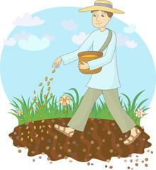 The farmer sows grain