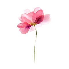 Obraz premium Akwarela kwiat