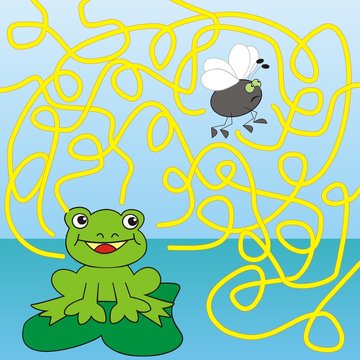 frog and fly - maze