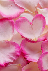 Fototapeta na wymiar Valentine rose petals heart. 