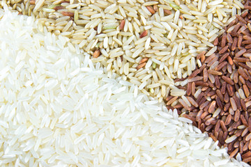 paddy rice,brown rice,white rice