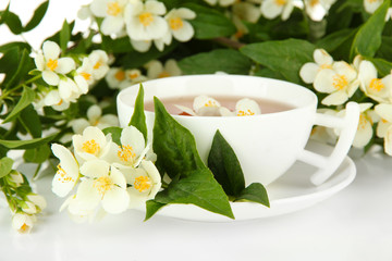 Obraz na płótnie Canvas Cup of tea with jasmine, isolated on white