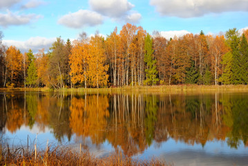 Autumn landscape on lake
