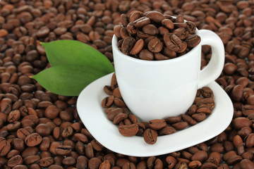 Coffee beans in cup close-up