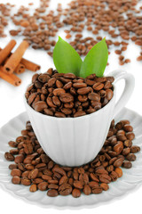 Coffee beans in cup close-up
