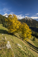 Herbst in den Bergen