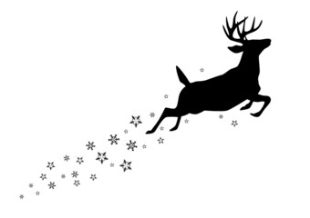 Fototapeta premium Hirsch