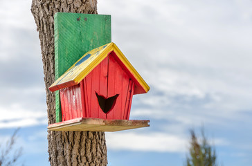 home for birds