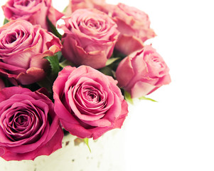 Bouquet of beautiful pink roses on white background.
