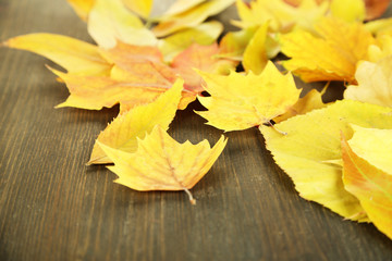 Naklejka na ściany i meble Bright autumn leafs on wooden table