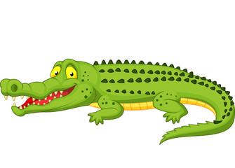 Fototapeta premium Crocodile cartoon