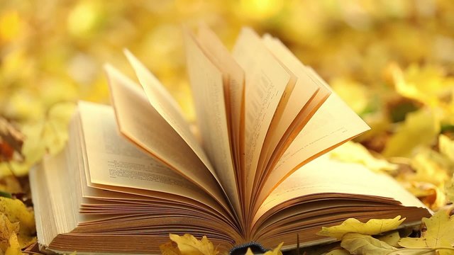 Opened book on a background of yellow fallen leaves