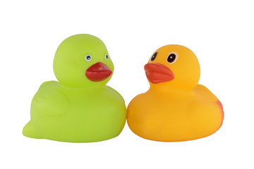 couple of green and yellow rubber ducklings isolated