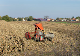 Tractor with harvester harvesting corn