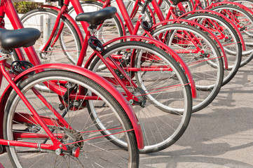 Fototapeta na wymiar bicycle parking at the campus