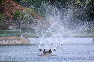 Beautiful fountain in a garden pond