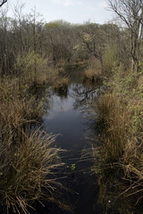 Brownsea Island